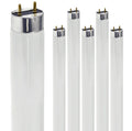24 Inch T8 Fluorescent Tube Light Bulb 17W 5000K 1230 Lumen G13 Bi-Pin Base Pack of 6 B4330