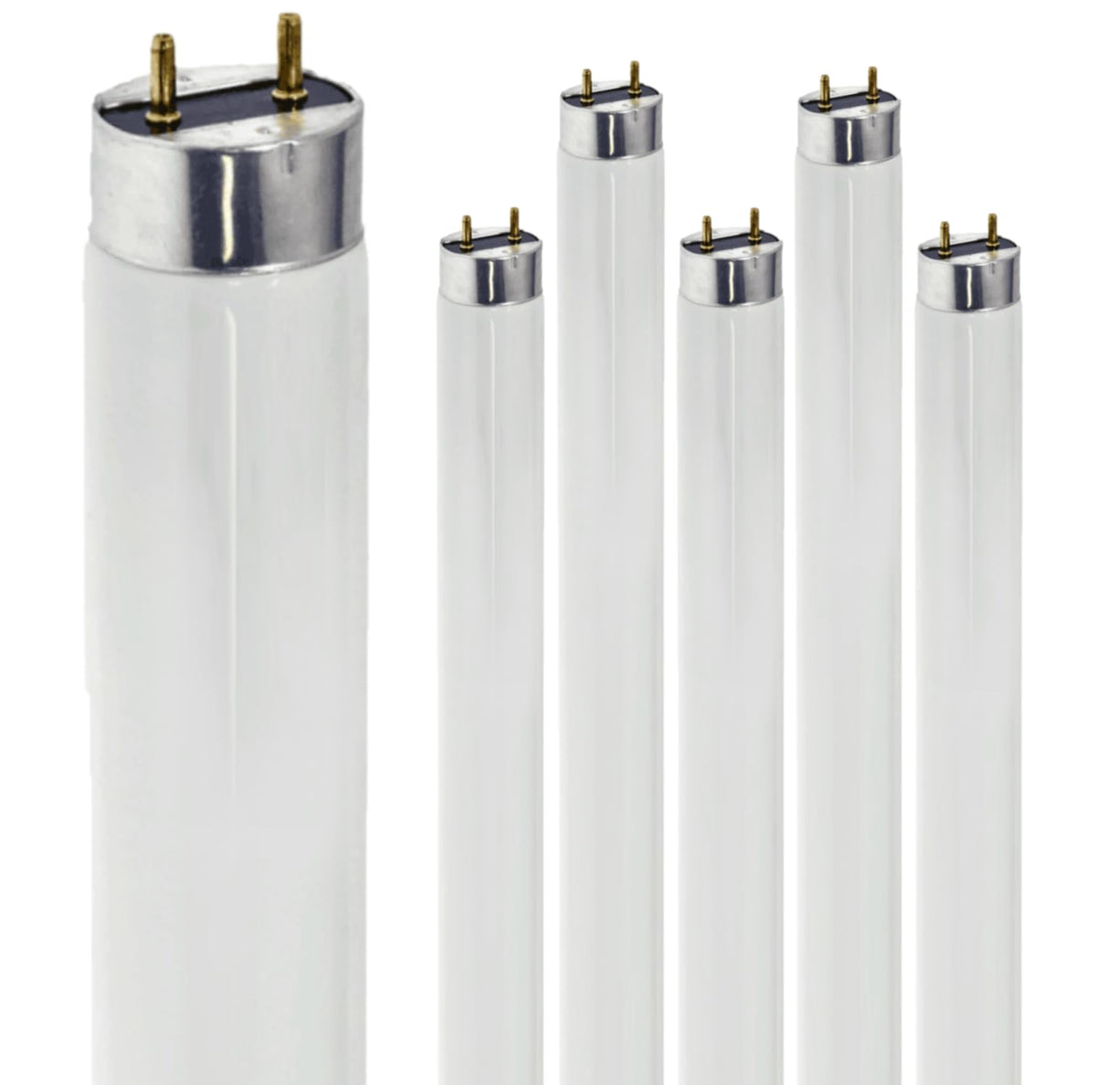 24 Inch T8 Fluorescent Tube Light Bulb 17W 5000K 1230 Lumen G13 Bi-Pin Base Pack of 6 B4330