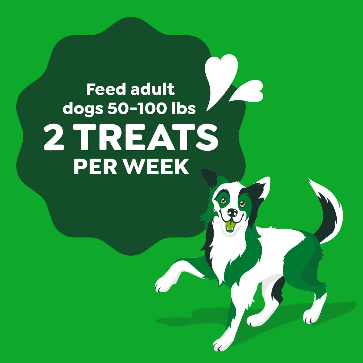 Chicken Flavor Dog Treats, 4 Count Z806