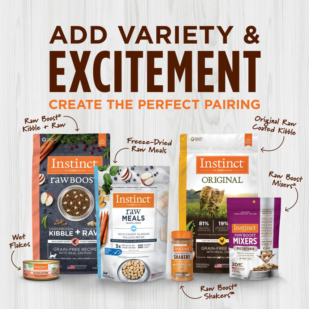 Chicken & Brown Rice Dry Dog Food A980