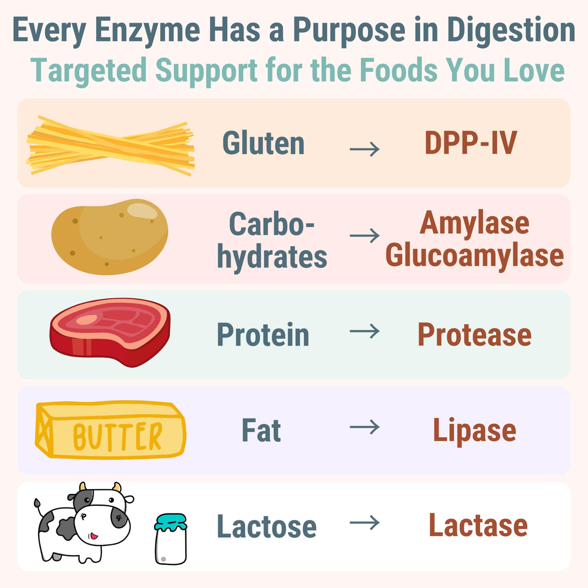 Gluten & Lactase Digestive Enzyme Gummies C637
