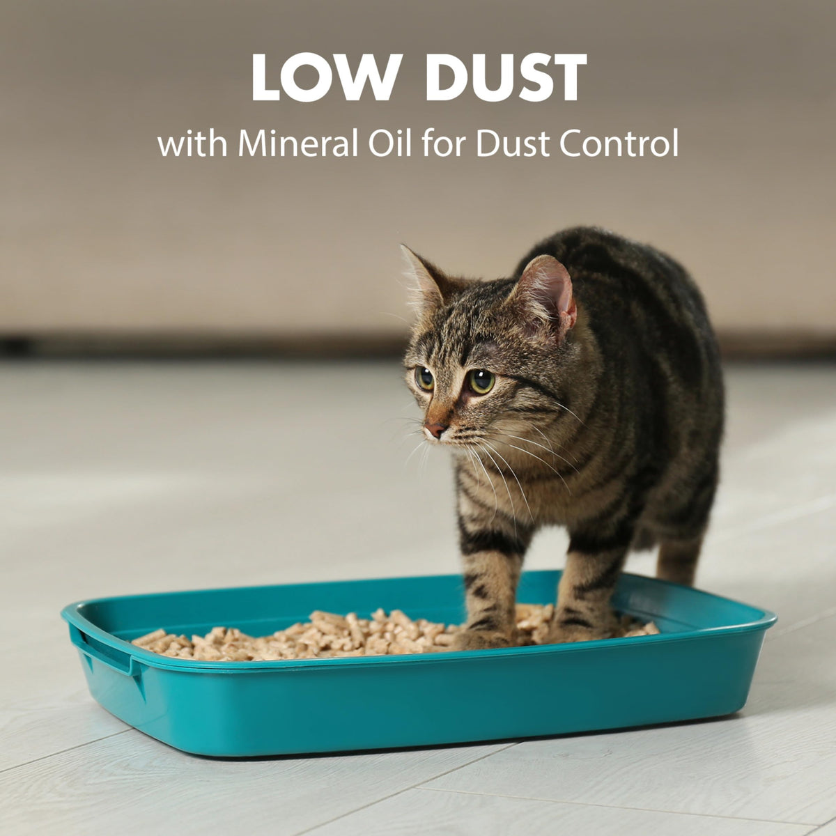 Clumping Cat Litter, 18 lbs B402
