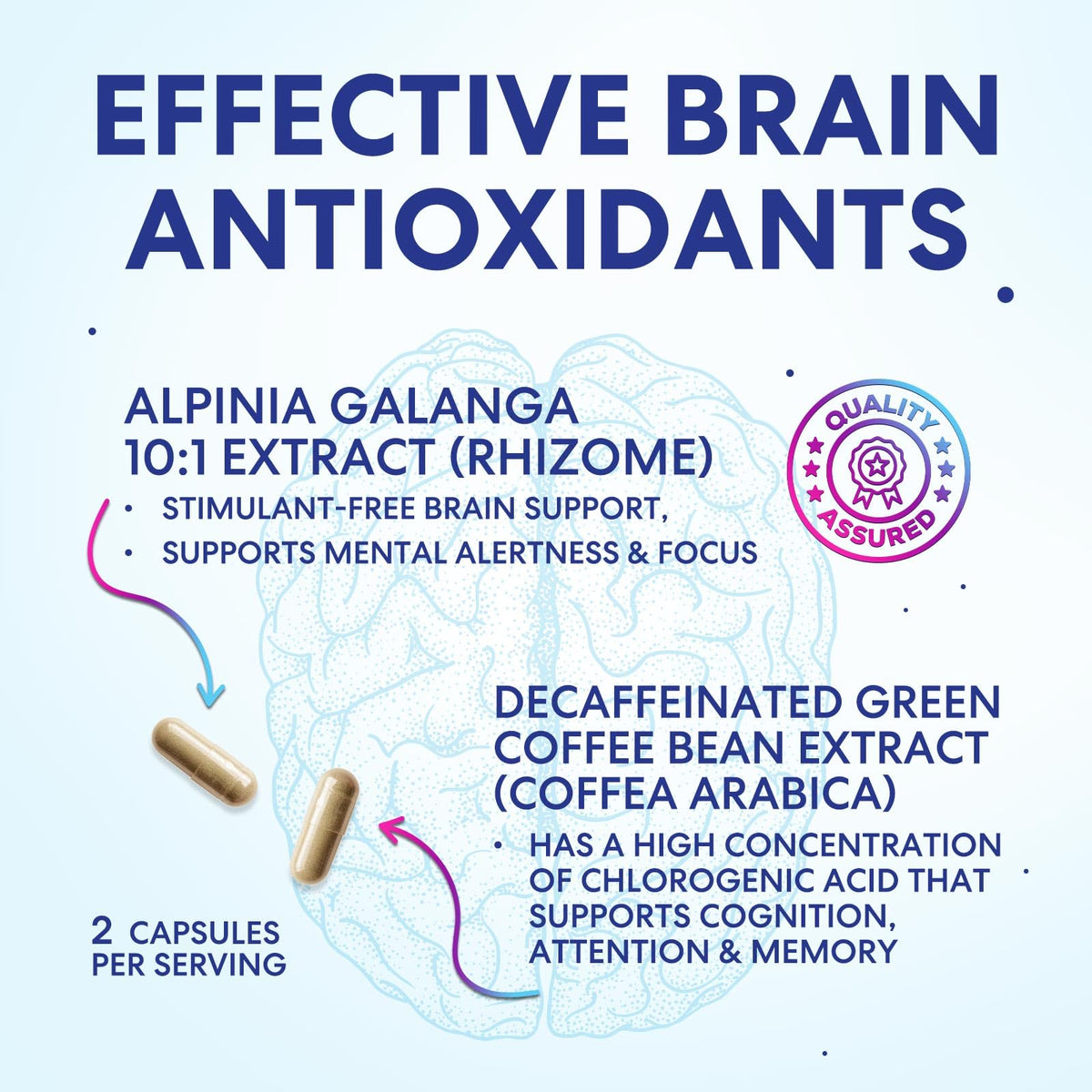120 Capsules Brain Memory Supplement with Vitamin B6 B12 Folate & Phosphatidylserine E89501