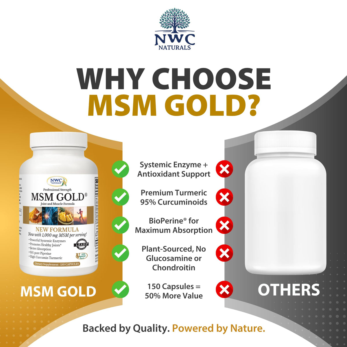 MSM Supplement 1,000 mg 150 Capsules B170336