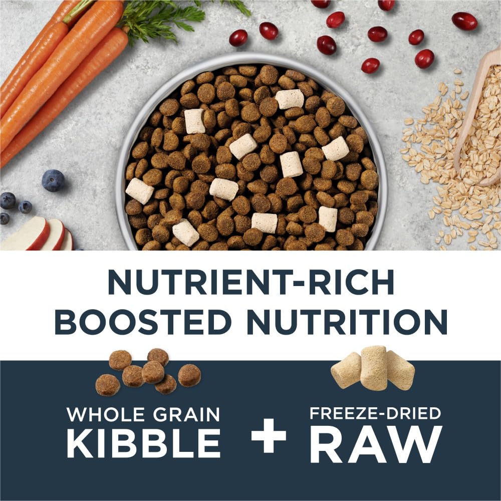 Chicken & Brown Rice Dry Dog Food A980