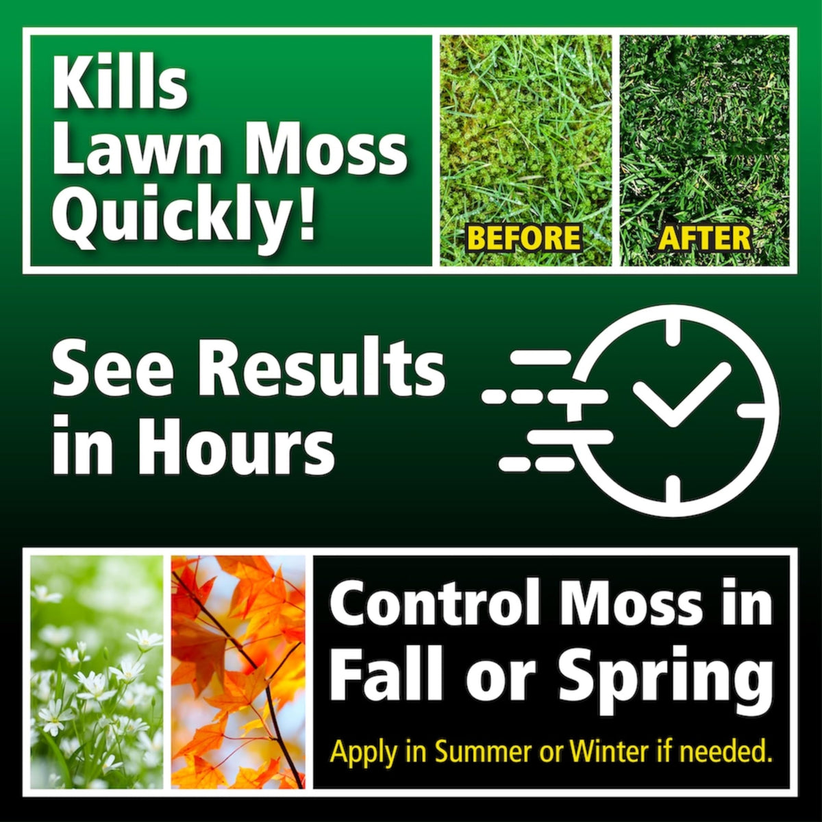 Moss Killer for Lawns Concentrate, 1 Gallon K9307