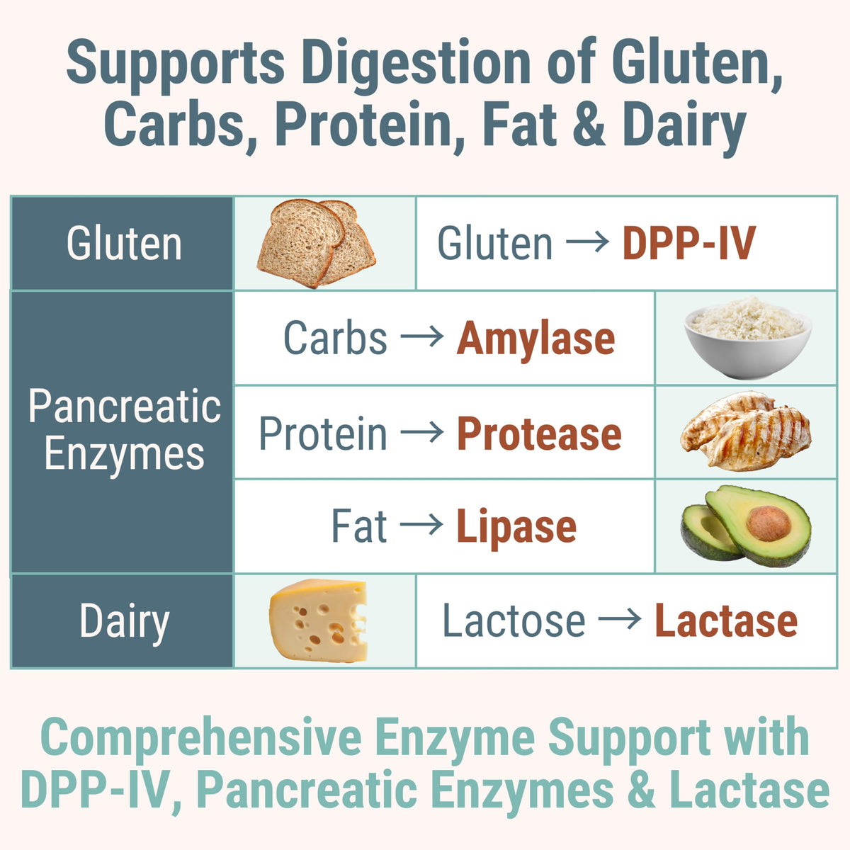 Gluten & Lactase Digestive Enzyme Gummies C637