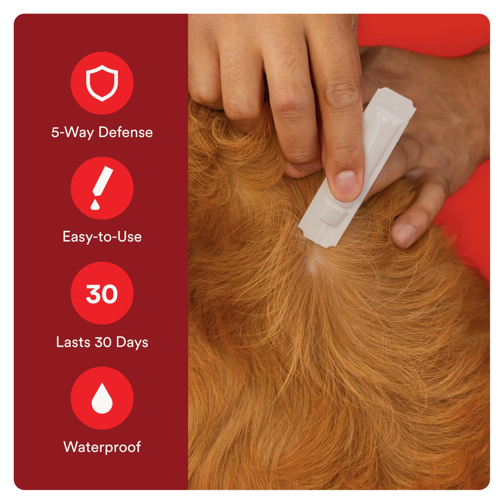 7 Way DeWormer and Flea and Tick Prevention for Small Dogs 6 Count P46796