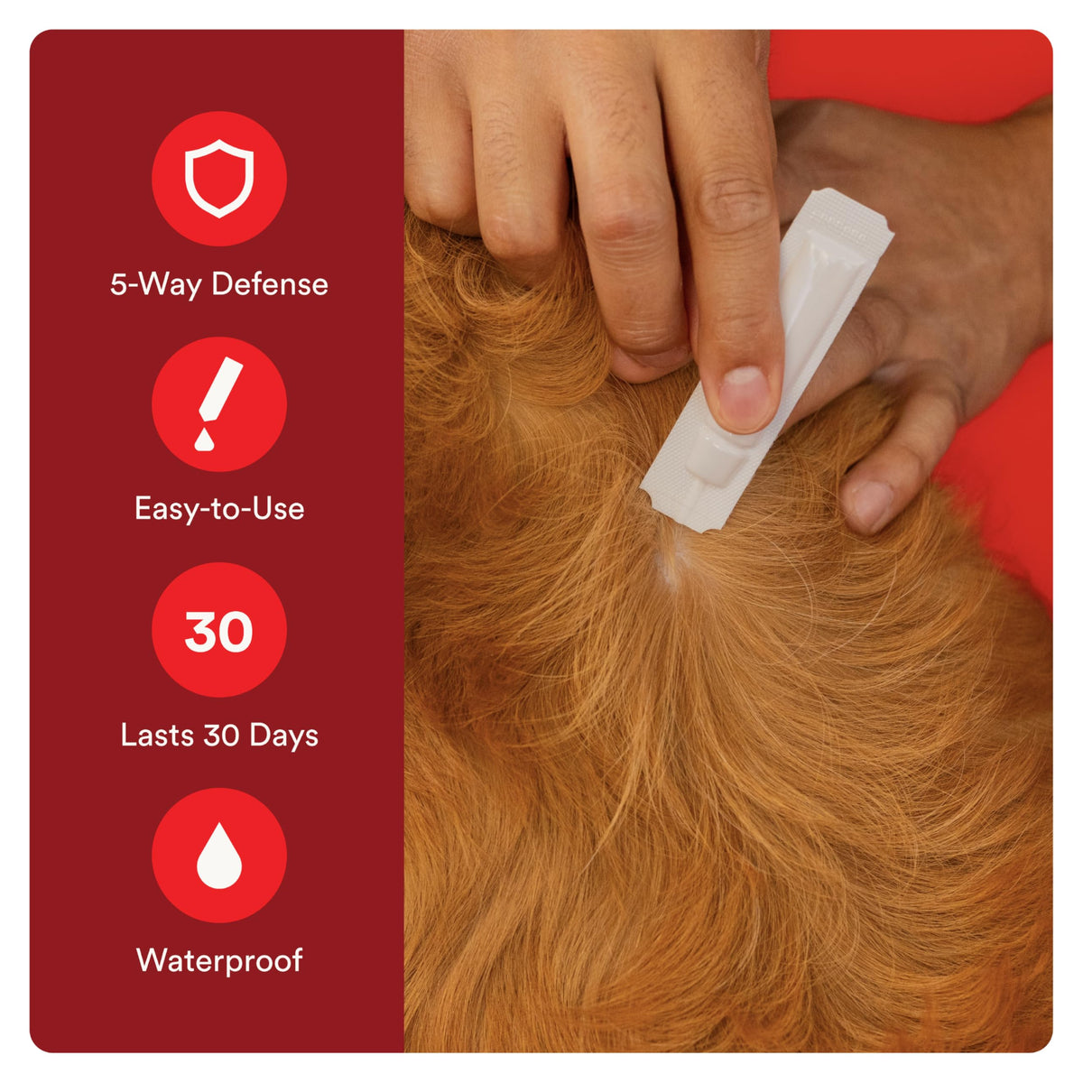 7 Way DeWormer and Flea and Tick Prevention for Small Dogs 6 Count P46796