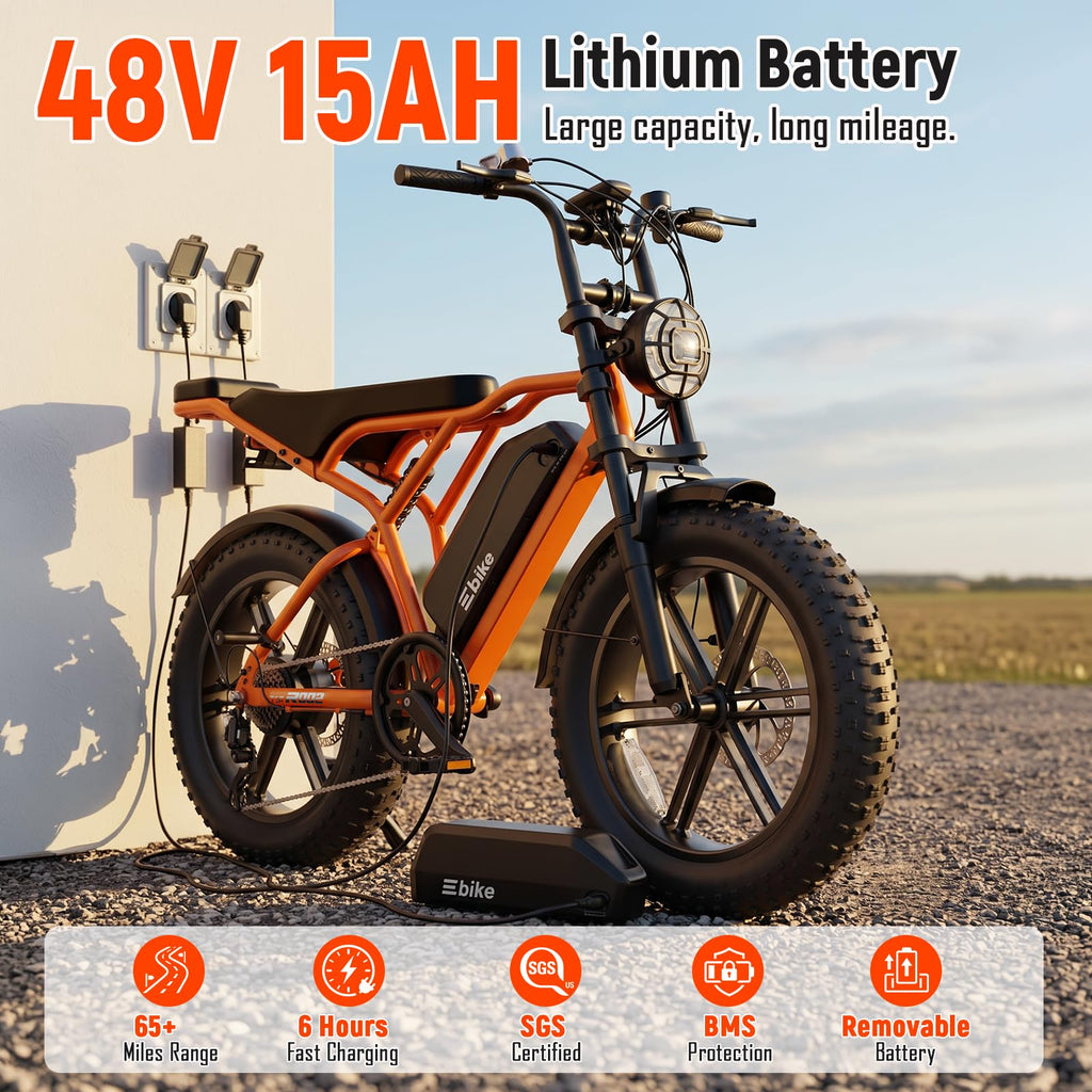 Electric Bike 2000W Peak Motor 48V Removable Battery X400417