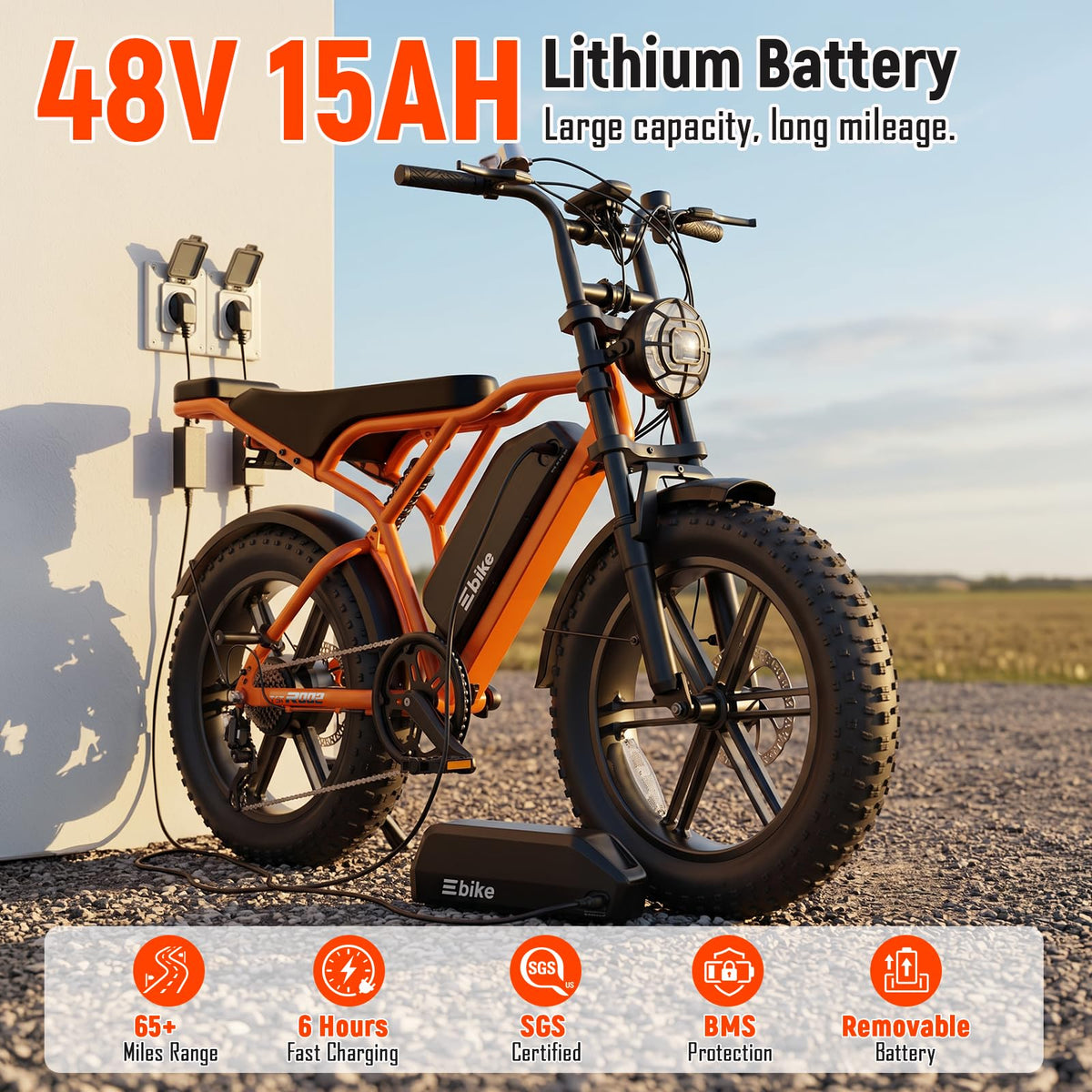 Electric Bike 2000W Peak Motor 48V Removable Battery X400417