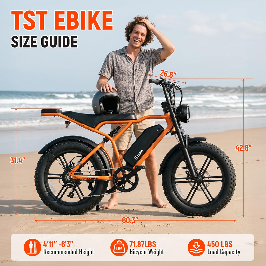 Electric Bike 2000W Peak Motor 48V Removable Battery X400417