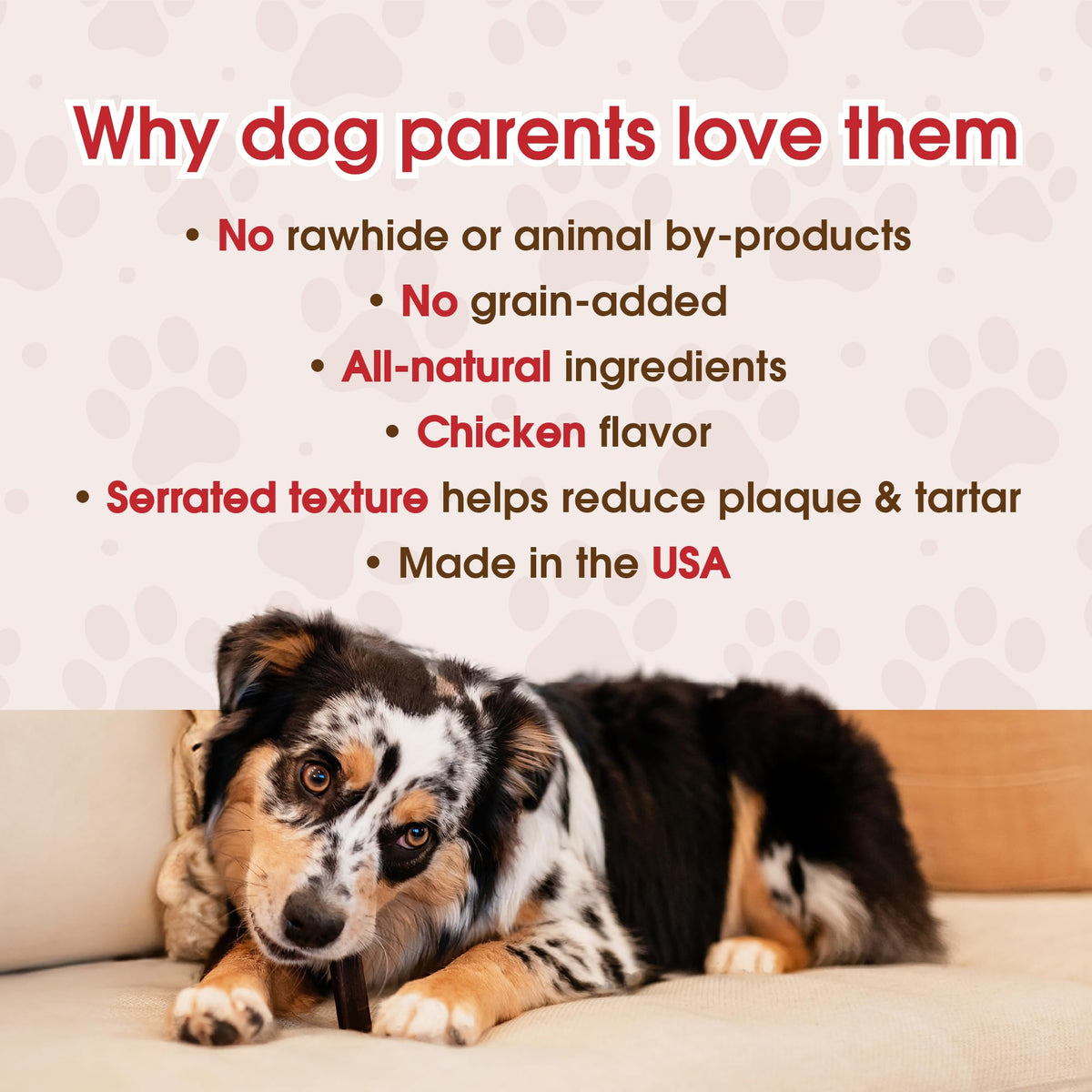 Grain-Free Dental Chew Sticks for Puppies, 6.2 oz J895074