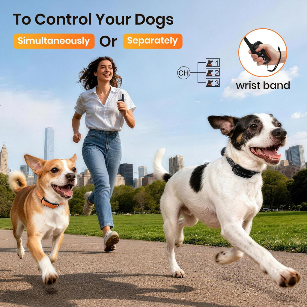 Vibration Collar with Controller for 2 Dogs, 3300ft Waterproof K3771
