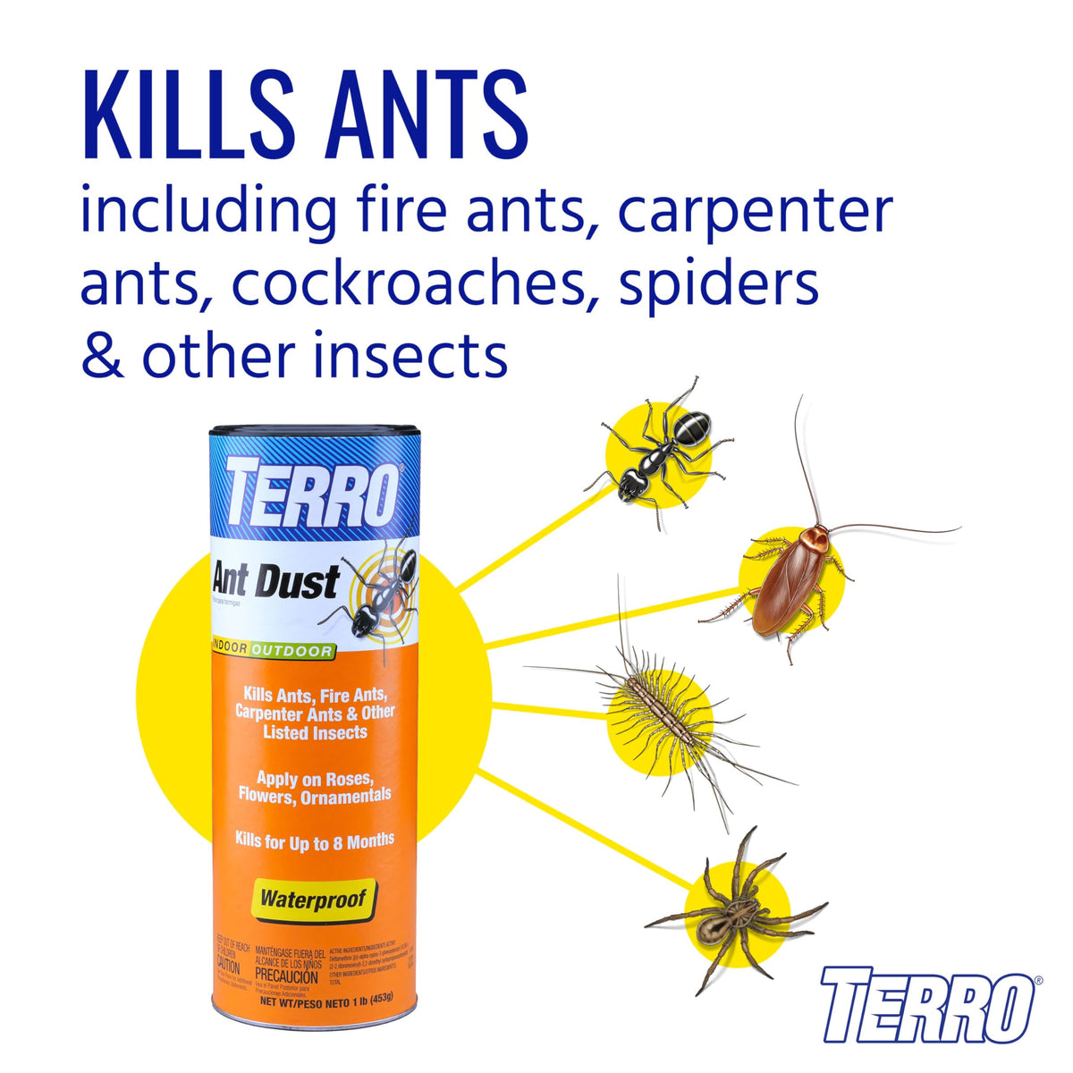 Ant Dust B699