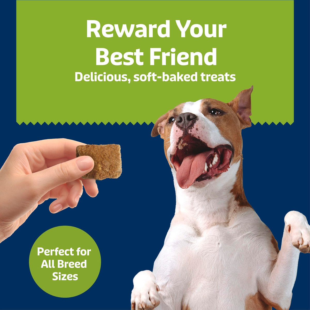 Chicken & Apples Soft & Chewy Treats, 9 oz G412