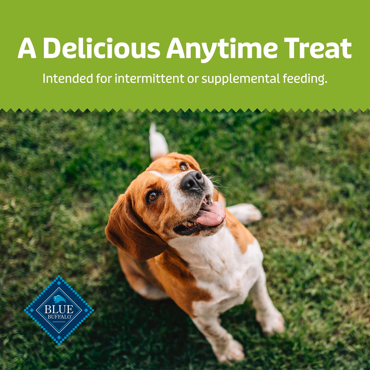 Chicken & Apples Soft & Chewy Treats, 9 oz G412