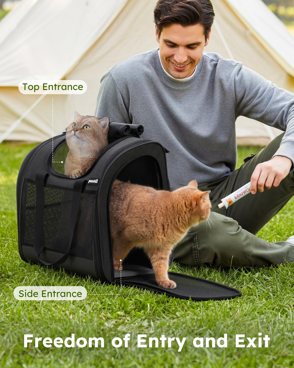 Dark Grey Cat Backpack with Breathable Mesh B297