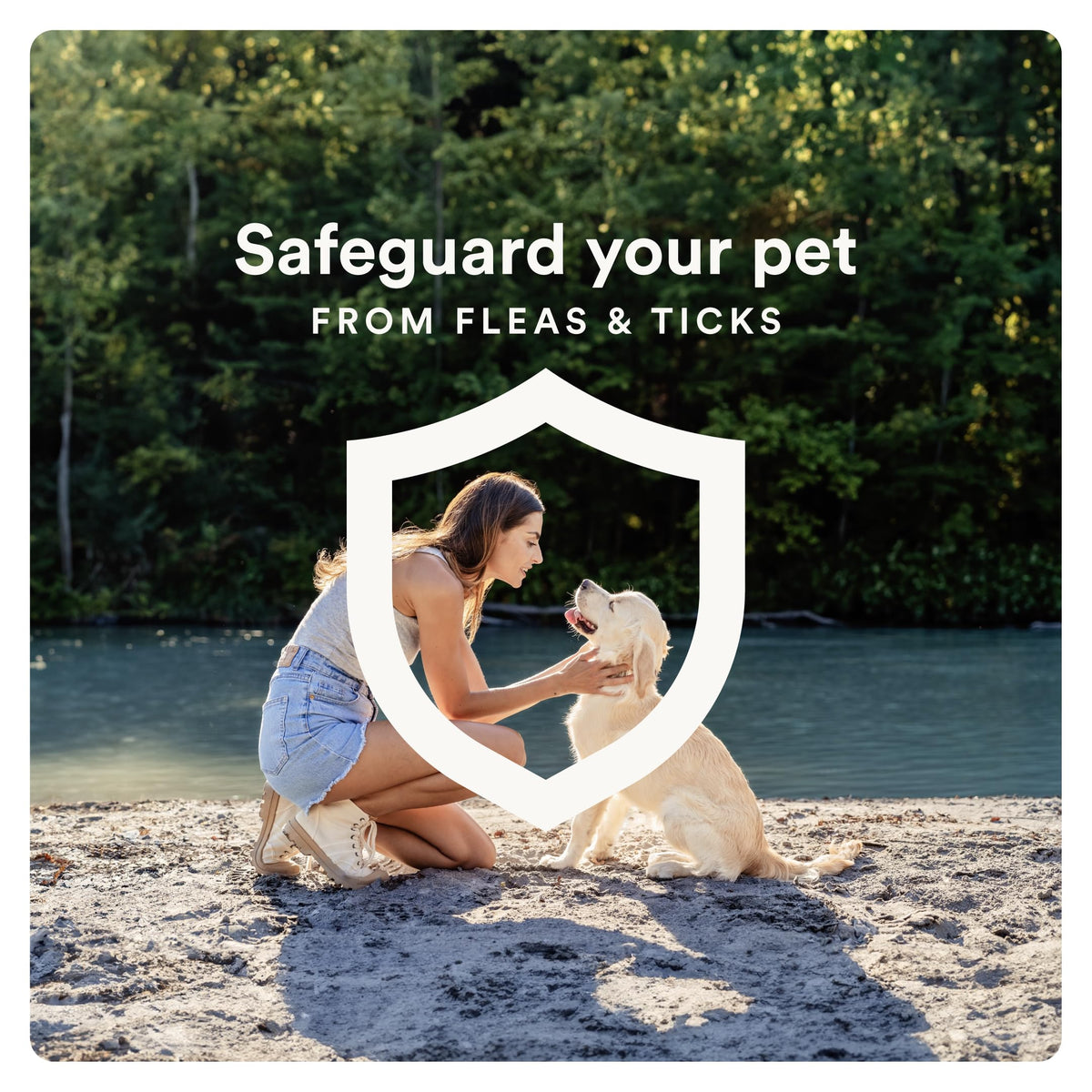 7 Way DeWormer and Flea and Tick Prevention for Small Dogs 6 Count P46796
