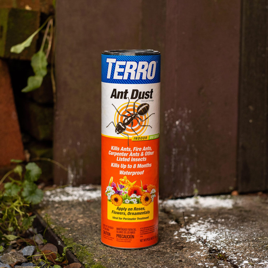 Ant Dust B699