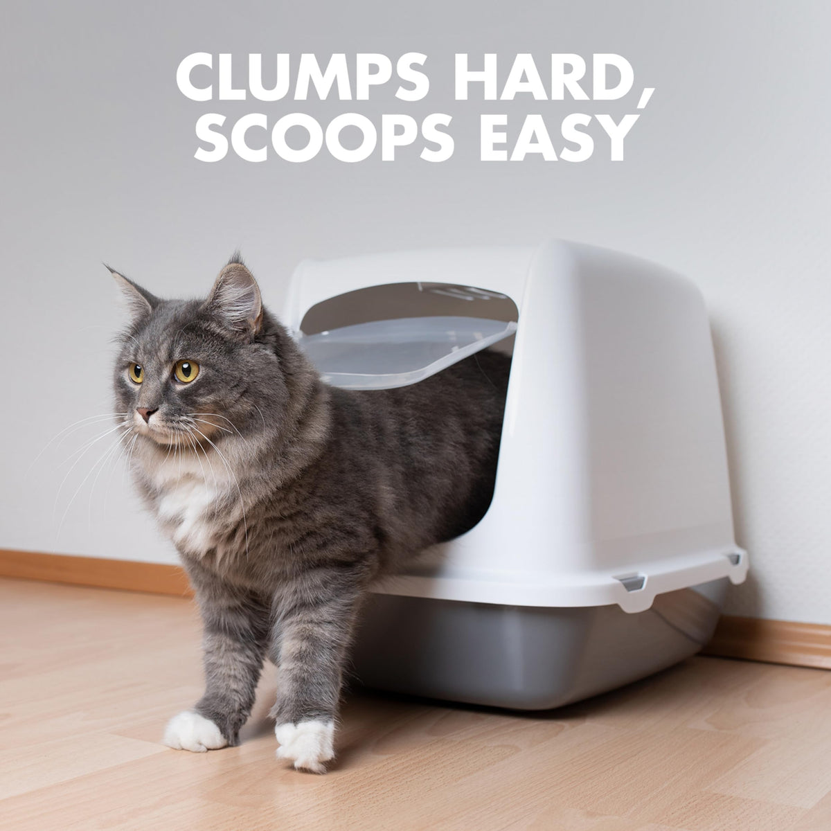 Clumping Cat Litter, 18 lbs B402