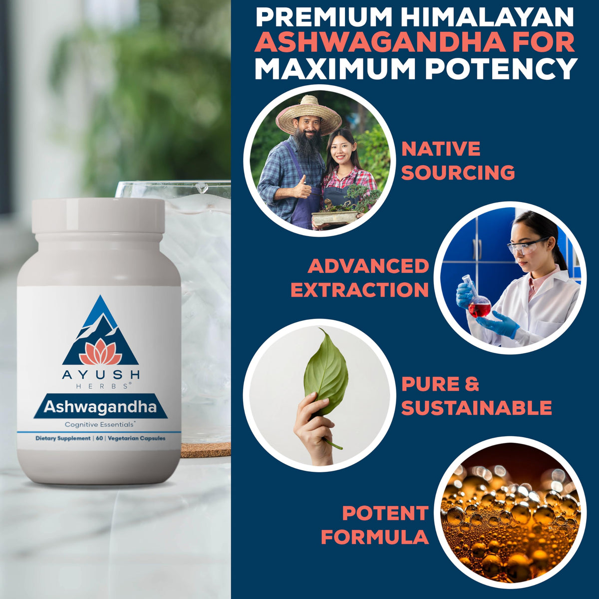 Ashwagandha Capsules 500mg 60 Servings T423004