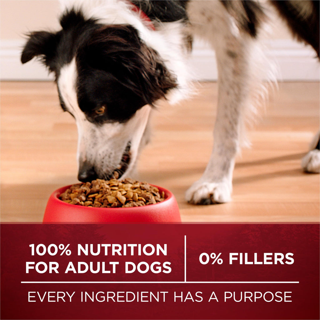 High Protein Chicken & Duck Dog Food K71151
