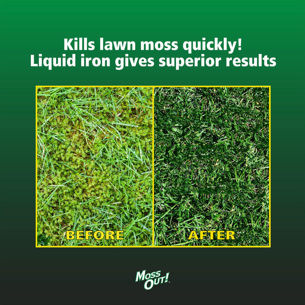Moss Killer for Lawns Concentrate, 1 Gallon K9307