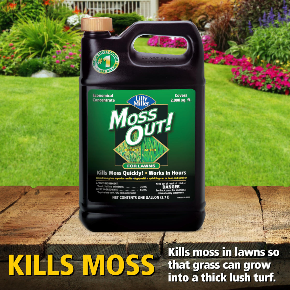 Moss Killer for Lawns Concentrate, 1 Gallon K9307