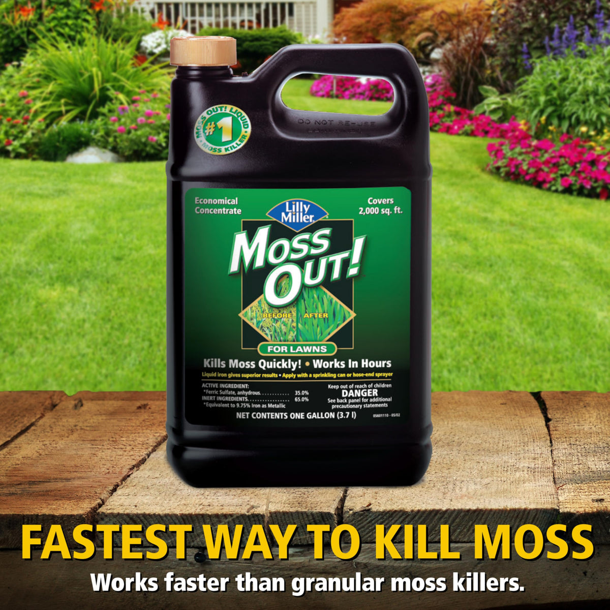 Moss Killer for Lawns Concentrate, 1 Gallon K9307