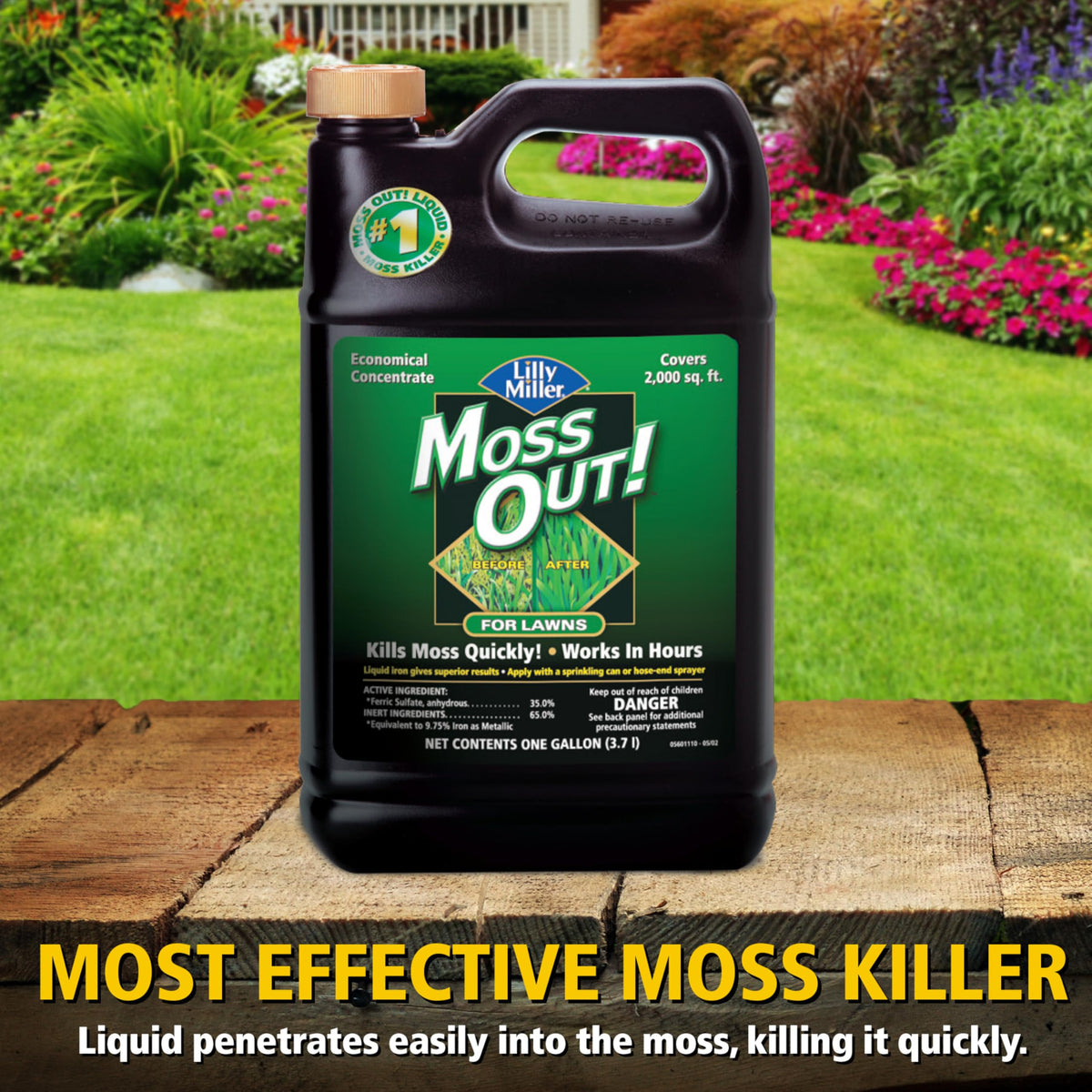 Moss Killer for Lawns Concentrate, 1 Gallon K9307