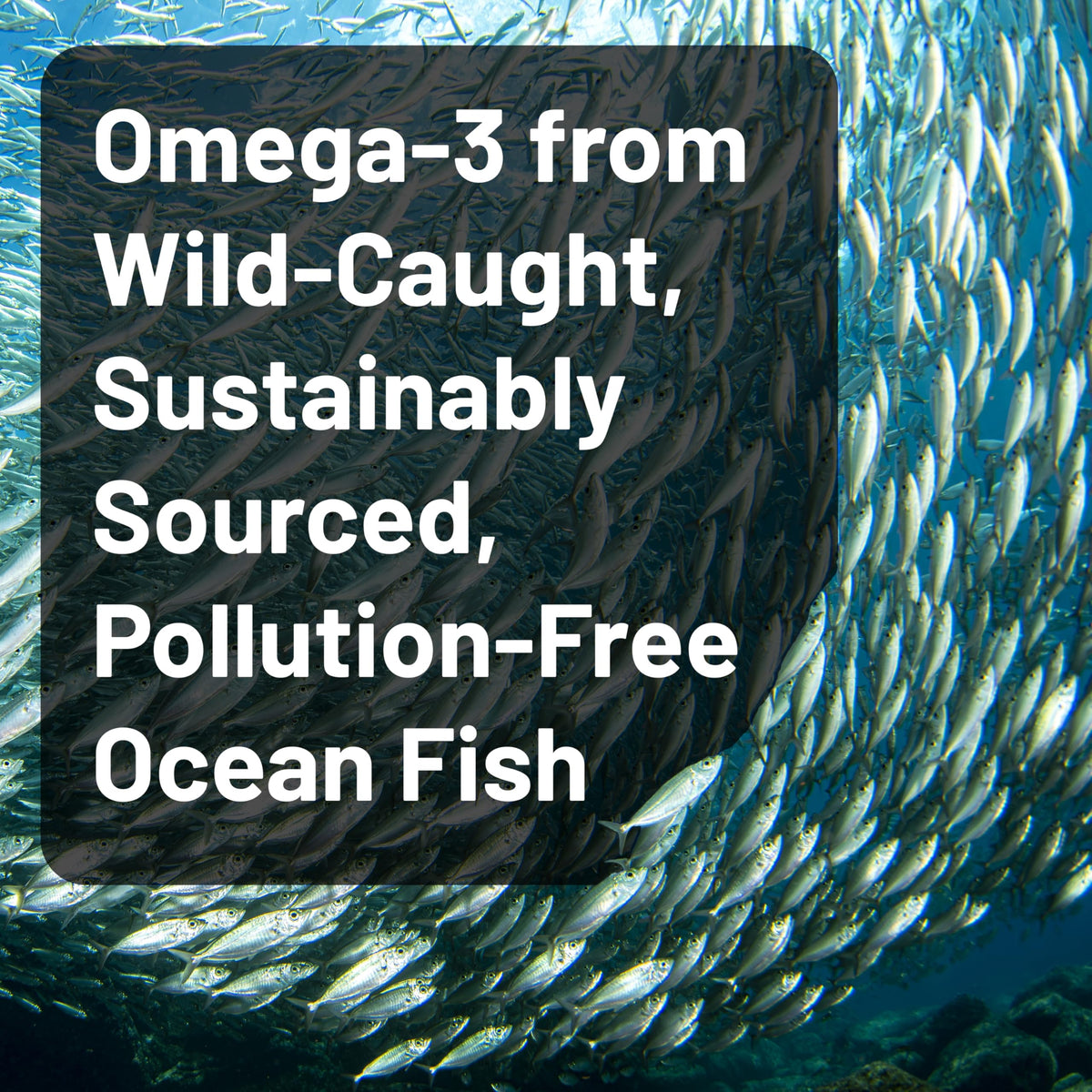 Omega 3 Fish Oil 2200 mg Lemon Flavor 60 Softgels N283