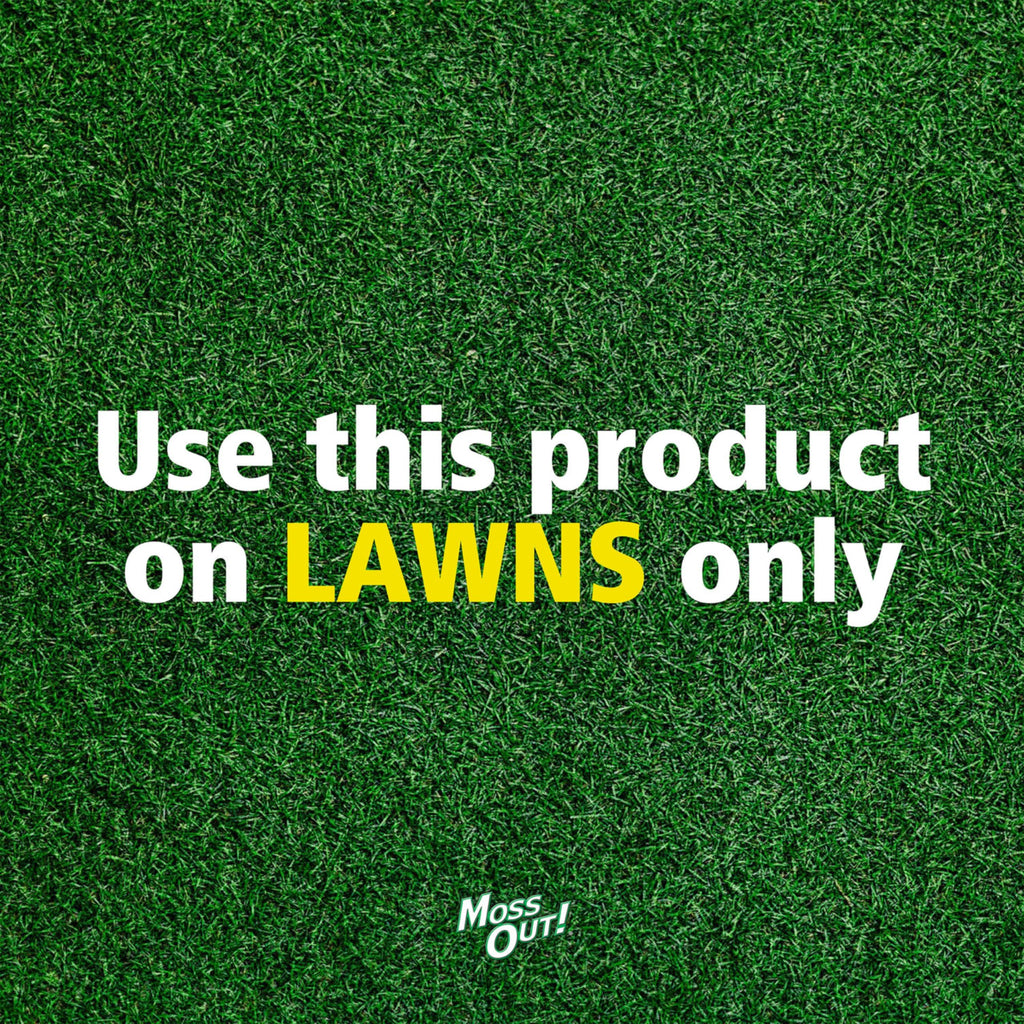 Moss Killer for Lawns Concentrate, 1 Gallon K9307