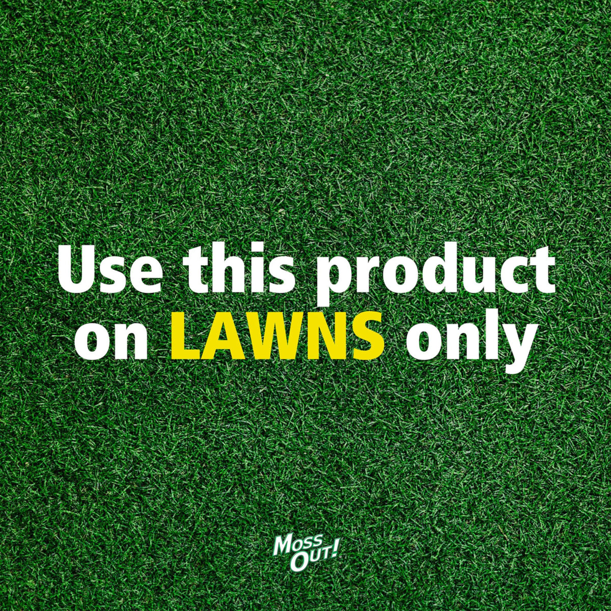 Moss Killer for Lawns Concentrate, 1 Gallon K9307